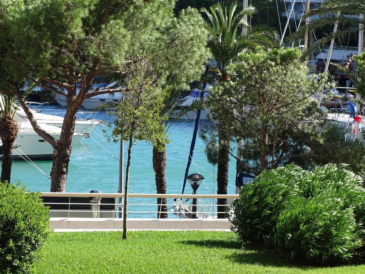 Standing Marina Baie Des Anges / Apartment